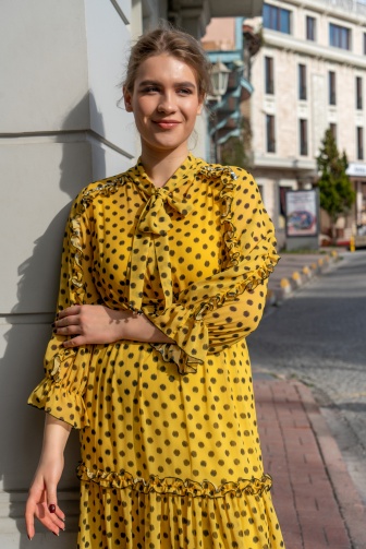 Polka Dot Chiffon Dress